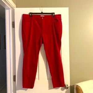 Loft Sz 20 Merlot Colored Velvent Skinny Pant
